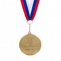 Медаль призовая 1 место 3885908