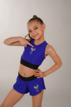 Шорты  Феникс синий